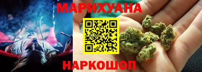 индика Лесосибирск