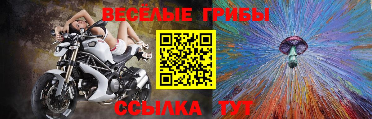 Учалы  Псилоцибиновые грибы прущие грибы  Вход с VPN 